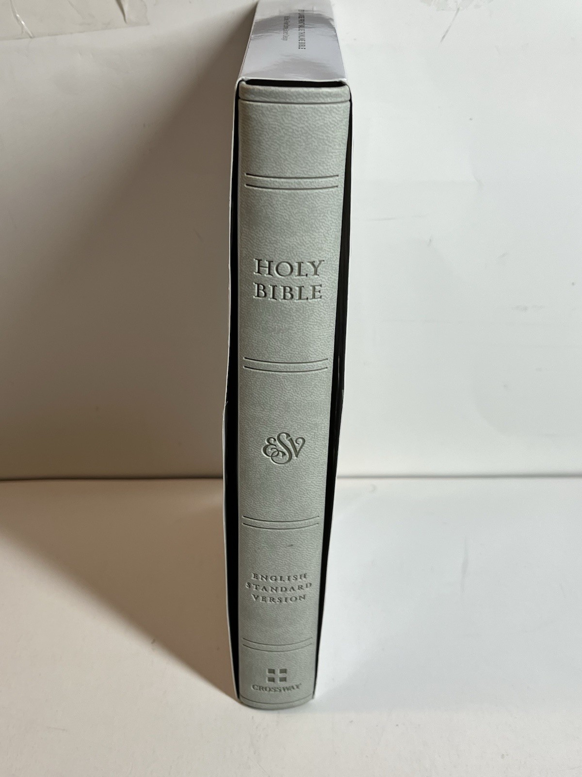 ESV Large Print Value Thinline Bible (Trutone, River Stone, Branch Design)
