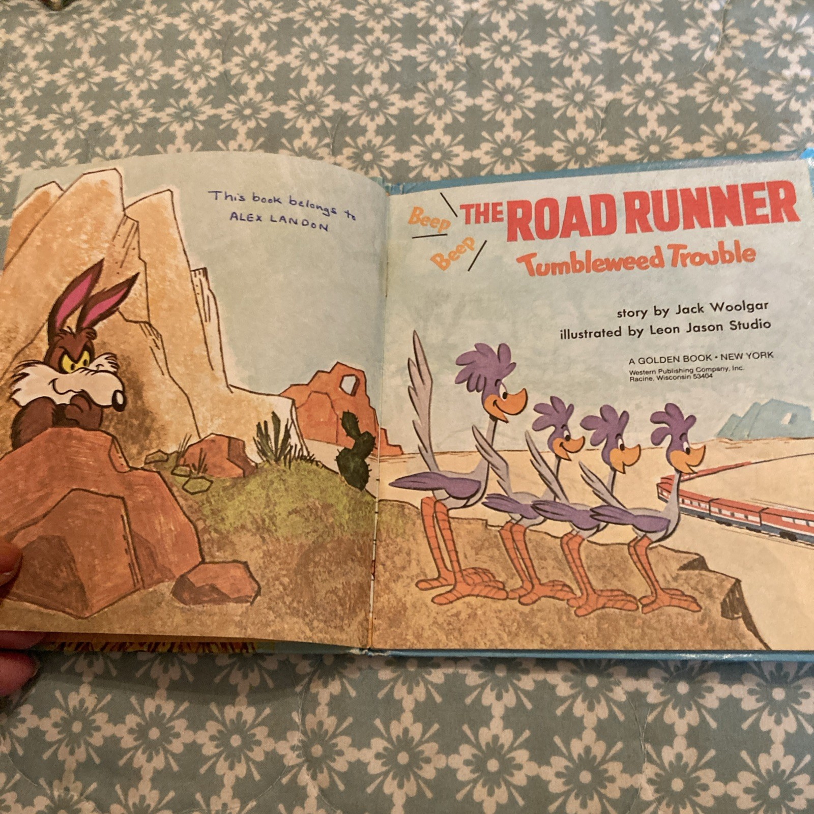 The ROAD RUNNER Tumbleweed Trouble by Jack Woolgar Whitman Tell A Tale Book 1971
