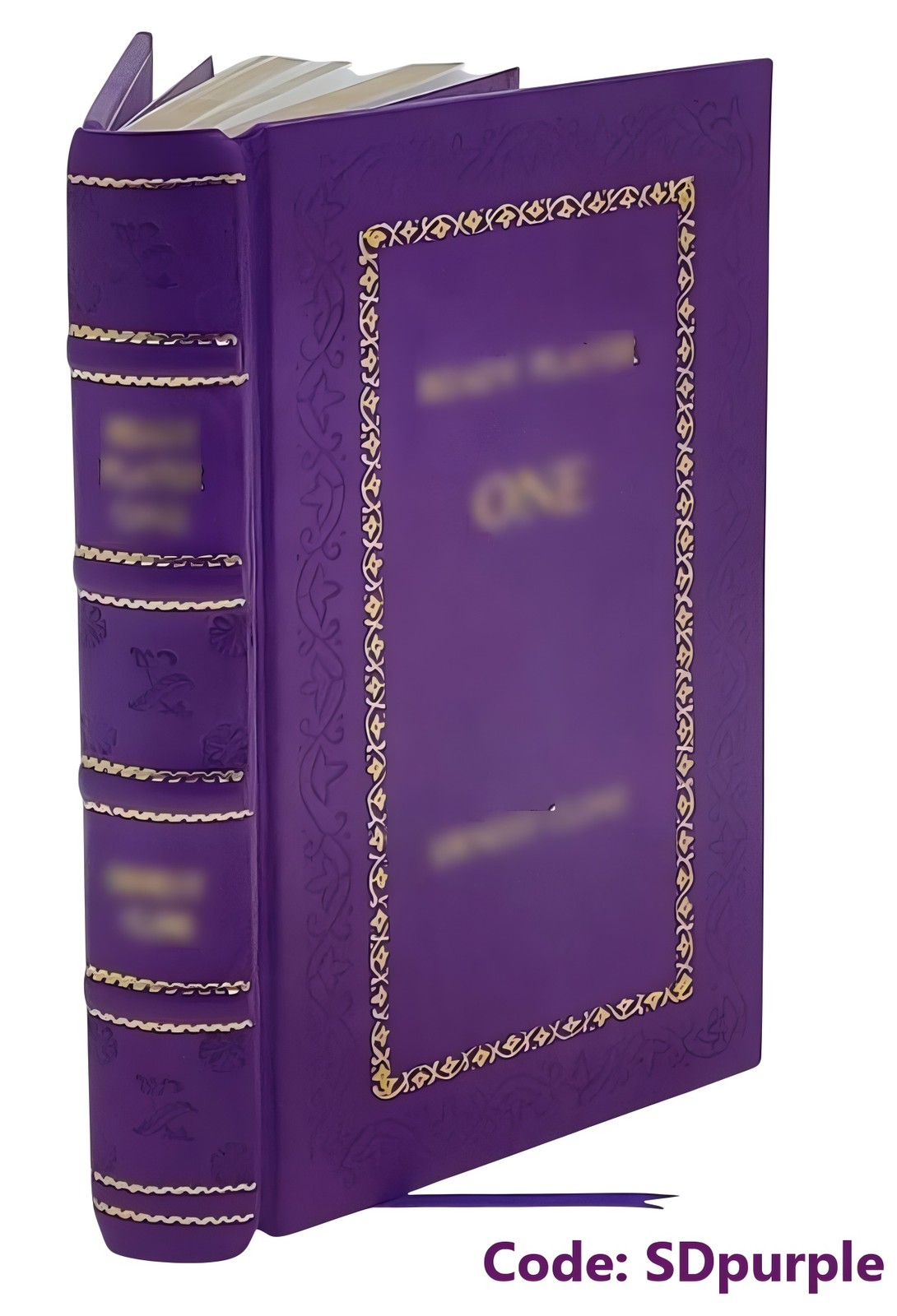 Wild Card (Deluxe Edition) (Rose Hill, 4) by Elsie Silve [Premium Leather Bound]