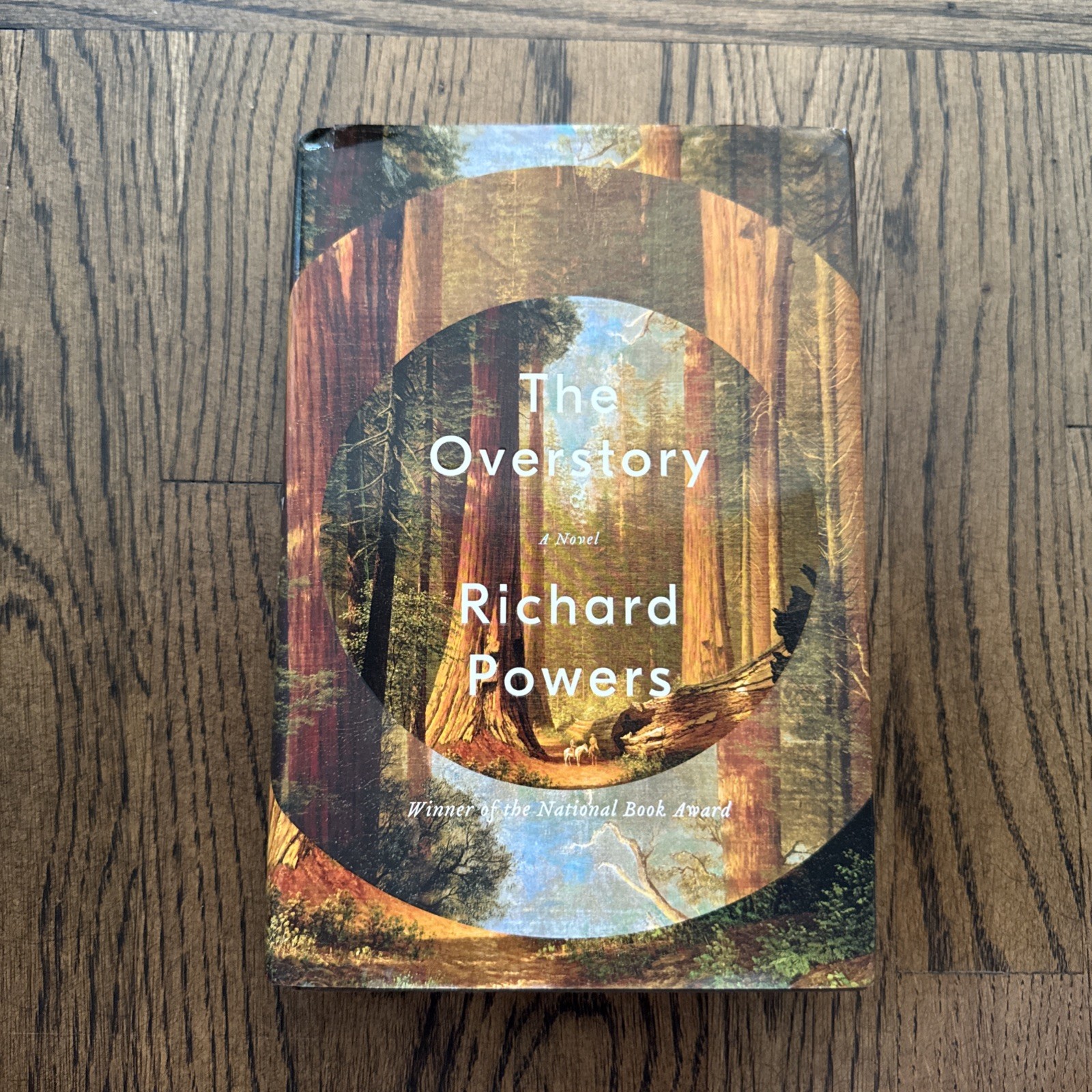 1st Ed 1st Print The Overstory by Richard Powers 2018 HC DJ
