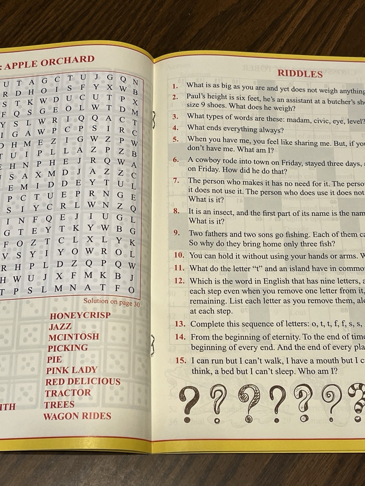 Puzzles &Brain Teasers Booklet Puzzles with Full Solutions-Boys Town 100 yr