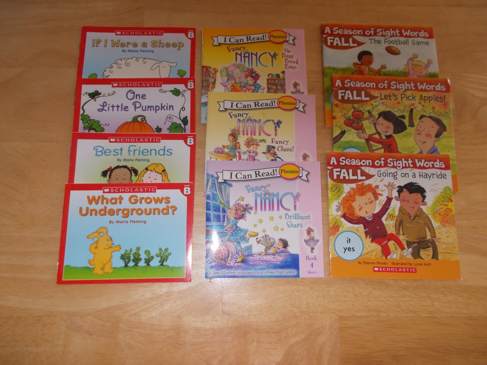 Sight Word Phonics Readers Lot 10 Book Fancy Nancy, Season of Sight Words & more