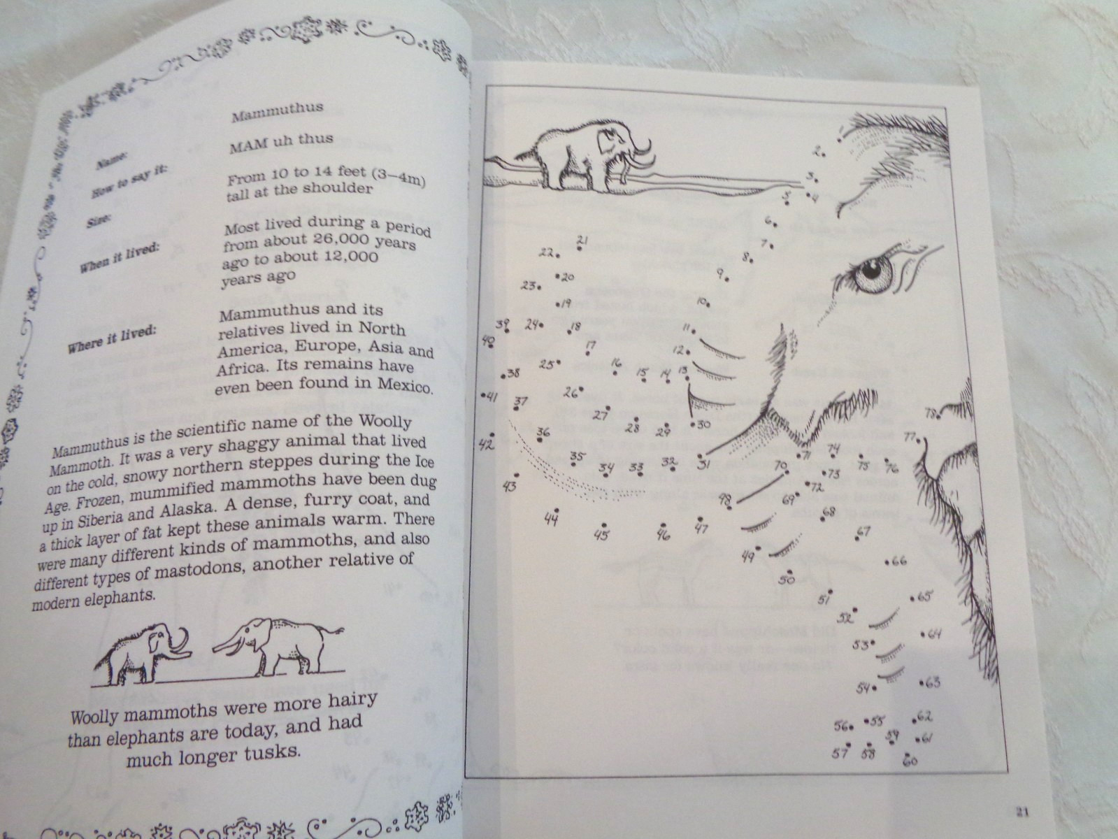 Great Book of Prehistoric Animal Dot to Dot For Adults-340 Pages!