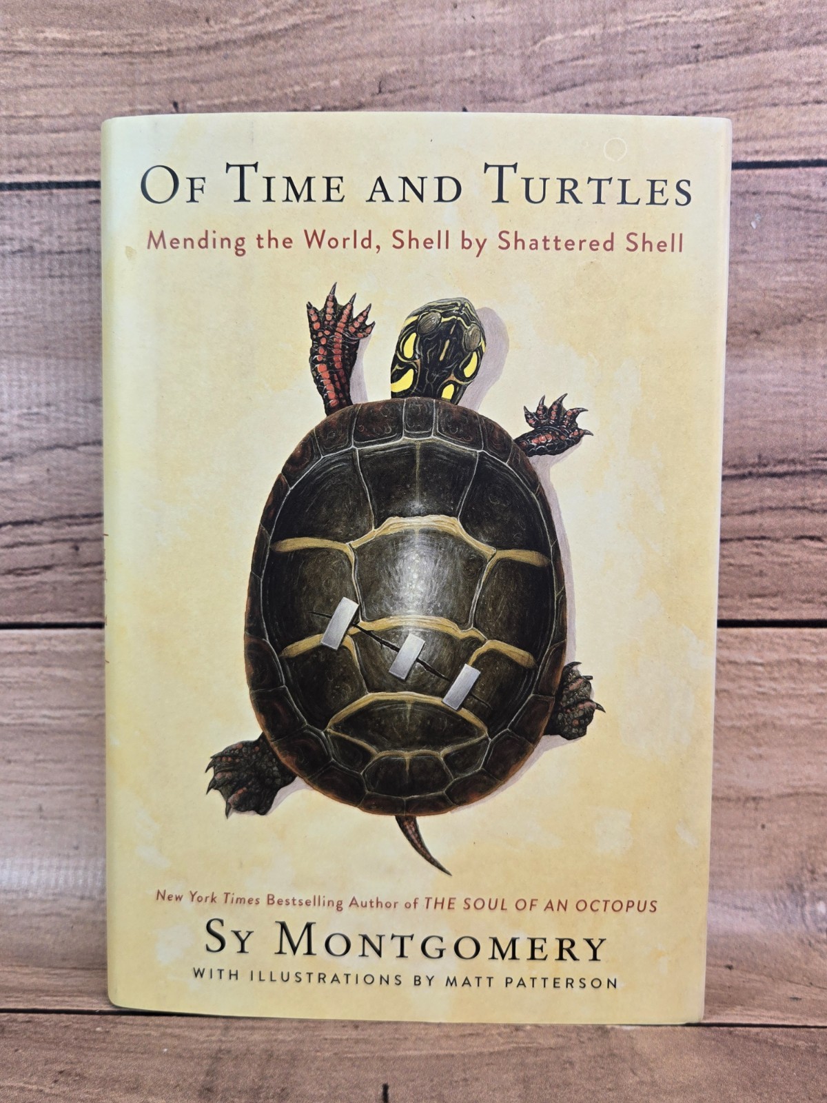 Of Time And Turtles: Mending The World, Shell By Shattered Shell Sy Montgomery