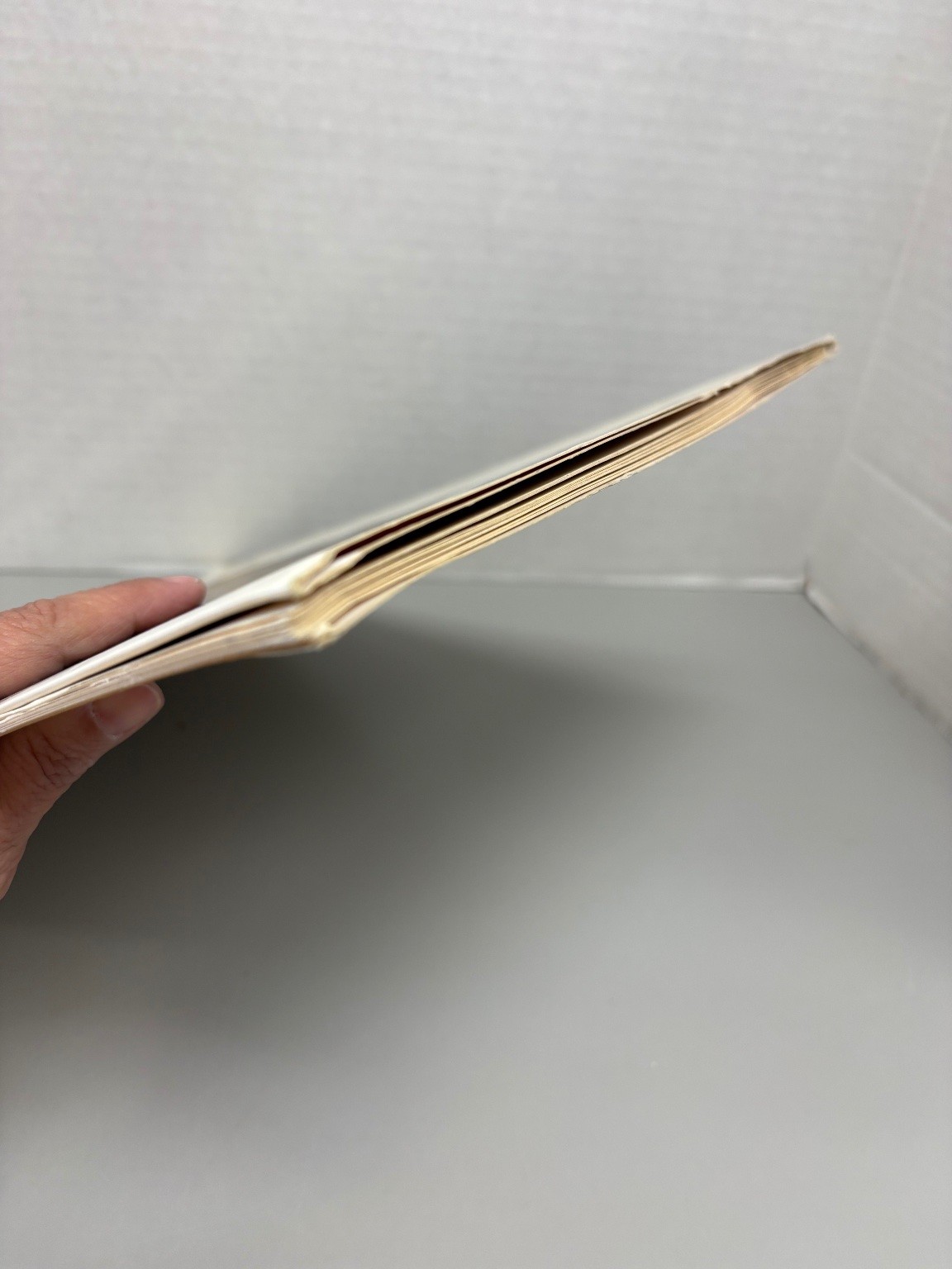 Hieronymus Bosch Lotte Brand Philip 1969 Portfolio Edition Art Abrams