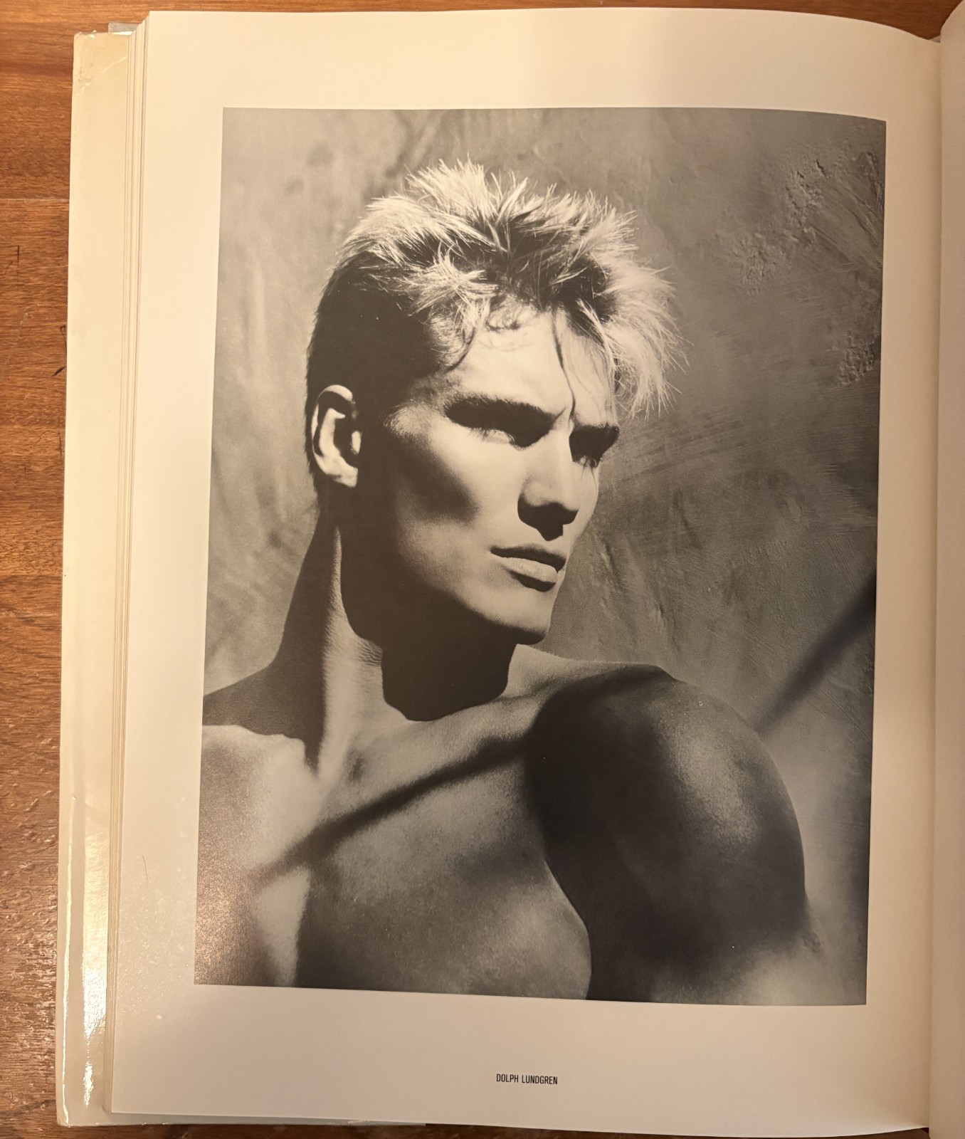 Visual Aid Robert Mapplethorpe, et al. HC 1986 Photography Gay Interest