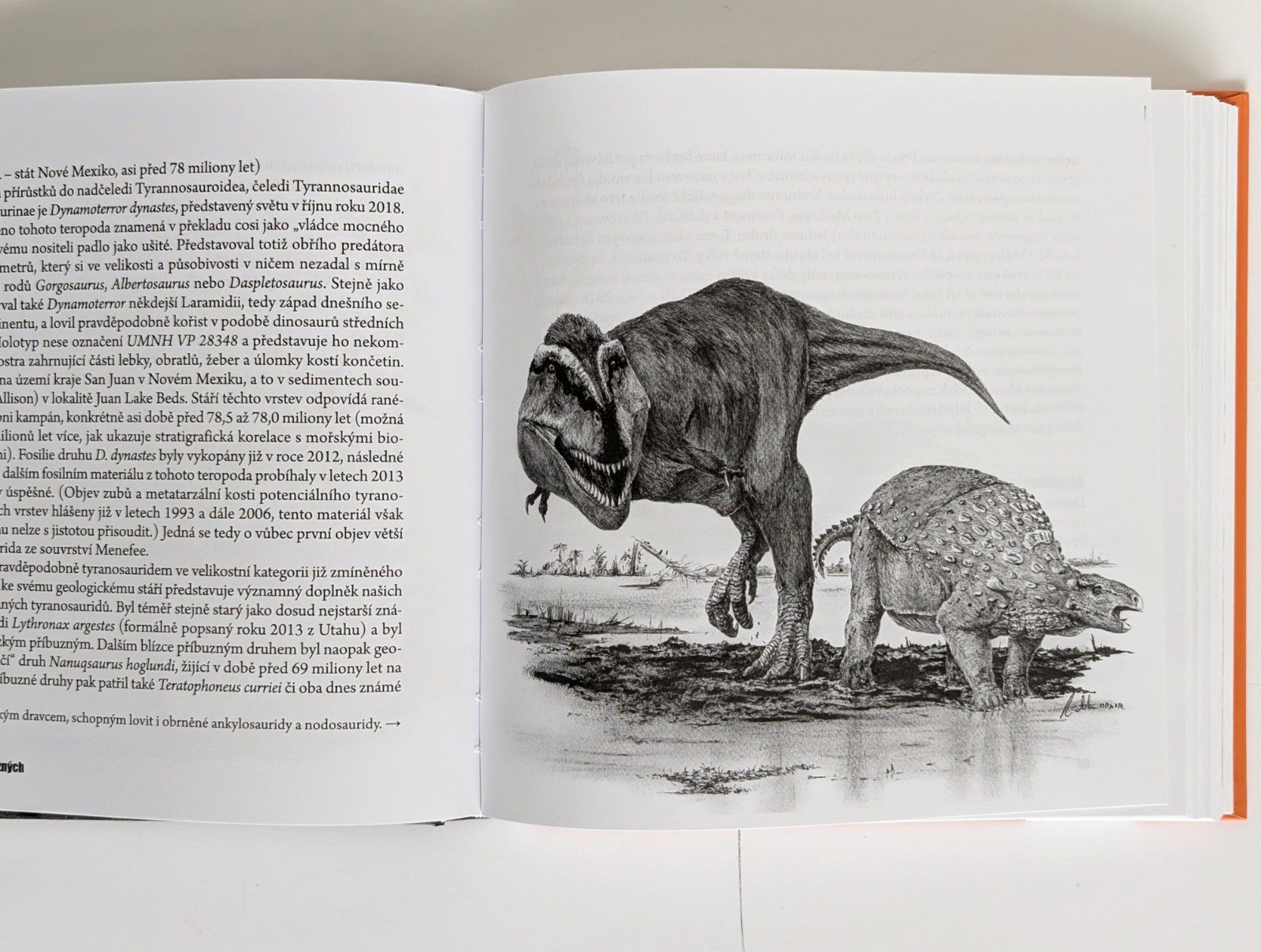 Tyrannosaurus rex Lot of 4 Czech Books on Dinosaurs Paleontology Vladimír Socha
