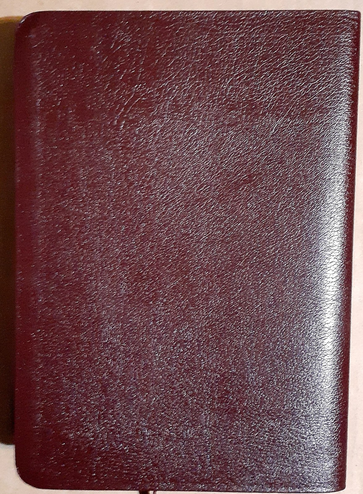 2006 Amplified Everyday Life Bible Joyce Meyer Leather Clean W/Pink Cover Case