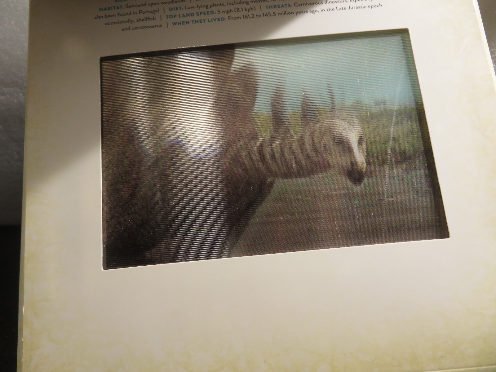 Dinosaur : A Photicular Book by Kathy Wollard and Dan Kainen 2018, Hardcover