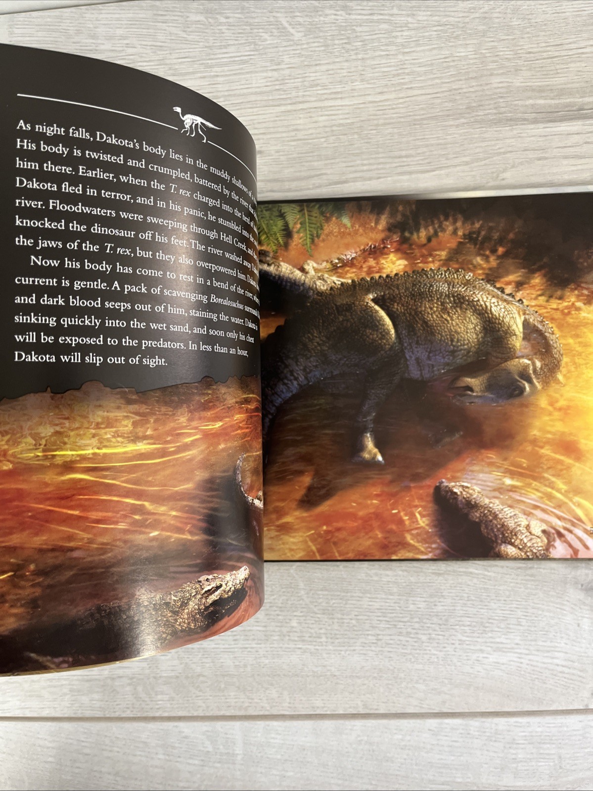 Dinomummy : The Life, Death and Discovery of Dakota, a Dinosaur from Hell Creek