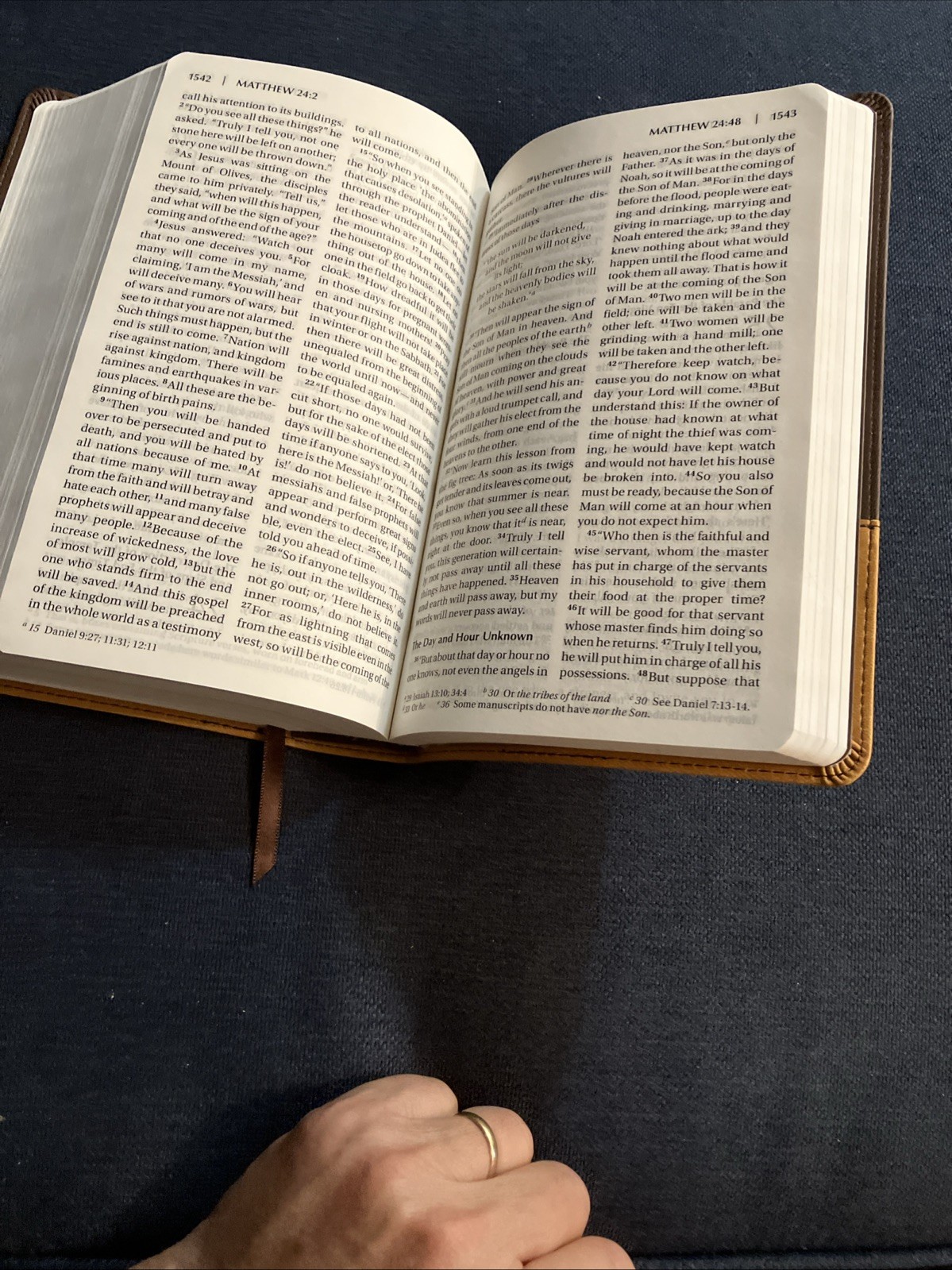 Holy Bible NIV Pew Bible, Large Print, 2009 Zondervan, Amber Duo-Tone Leather