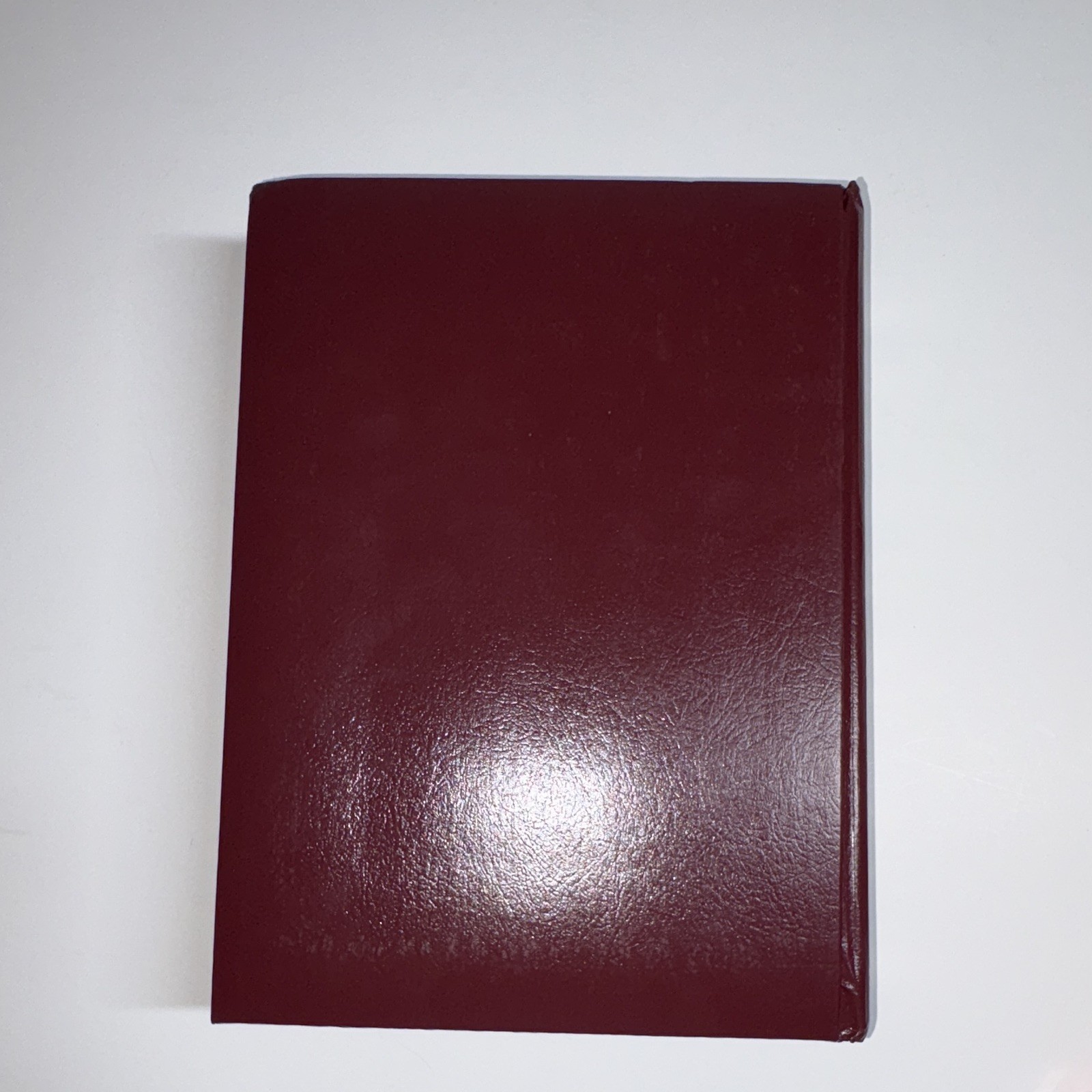 Thomas Kinkade Holy Bible Lighting the Way Home NKJV Red Letter Hardcover