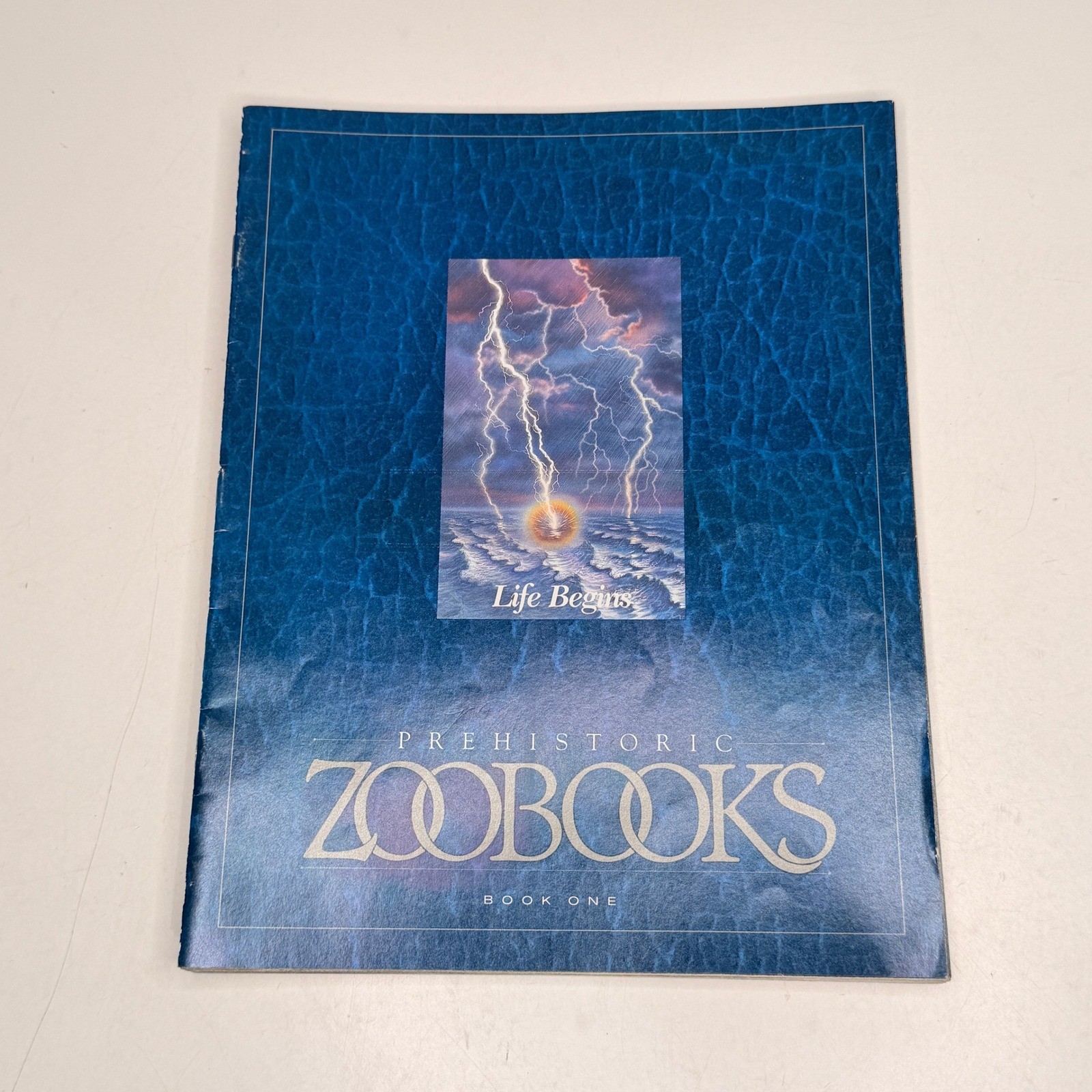 Prehistoric ZOOBOOKS 1989 First Edition Family Guide Case Book Set 1-10 Poster