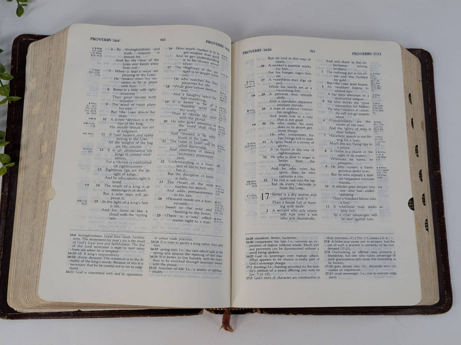 BISON GRAIN!✝️Vntg Ryrie Study Bible NASB 1978 Red Letter Moody Press Tab Index