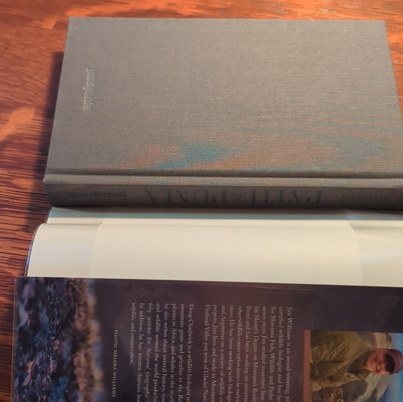 Patagonia Path of the Puma: Mountain Lion Resilience by Jim Williams, Hardcover