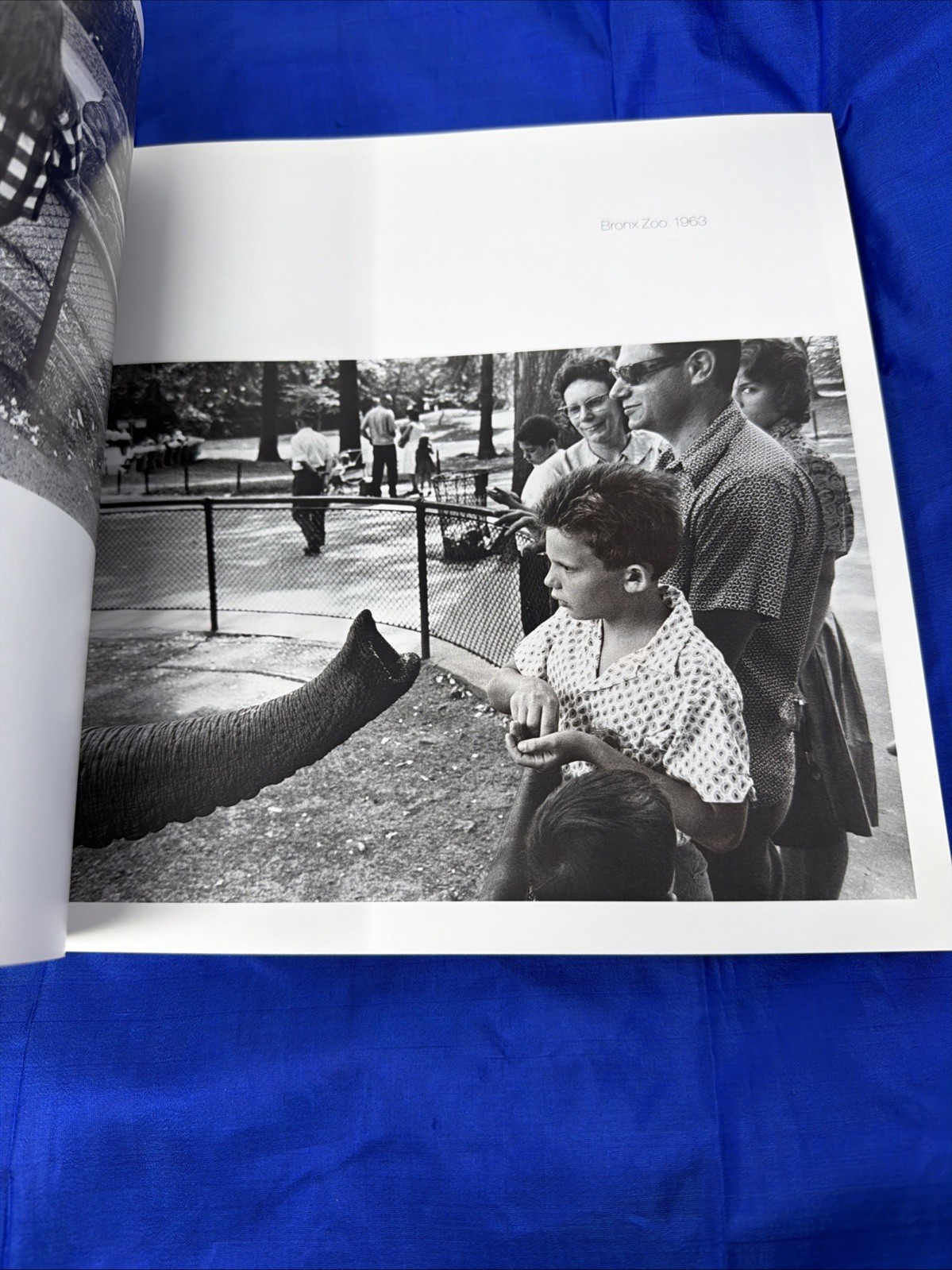 Winogrand Figments From the Real World John Szarkowski 1988 MoMA New York