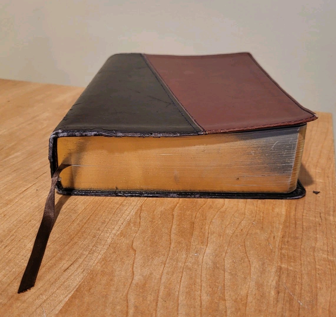 THE NEW LIVING BIBLE New Living Translation TWO TONE SOFTCOVER Tyndale 2004