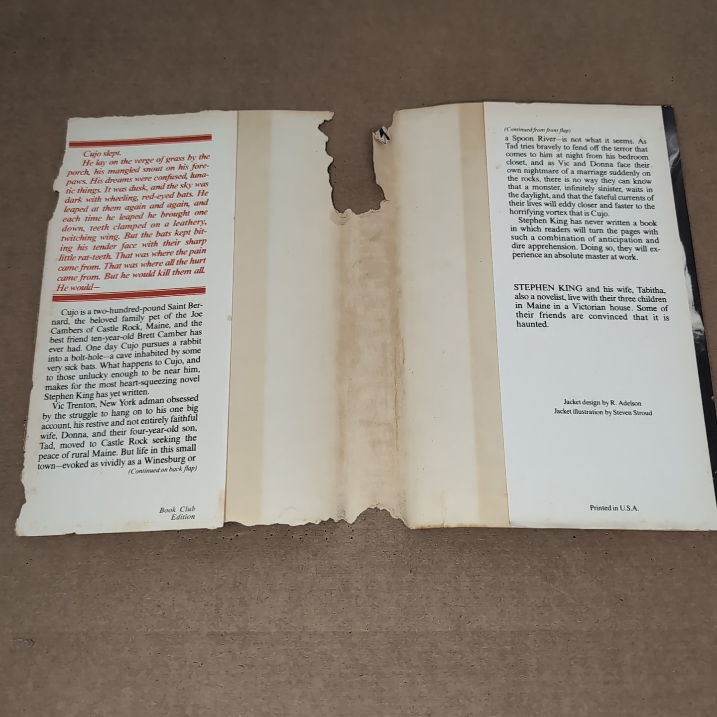 Stephen King Cujo 1981 Viking Book Club Edition Hard Cover Dust Jacket