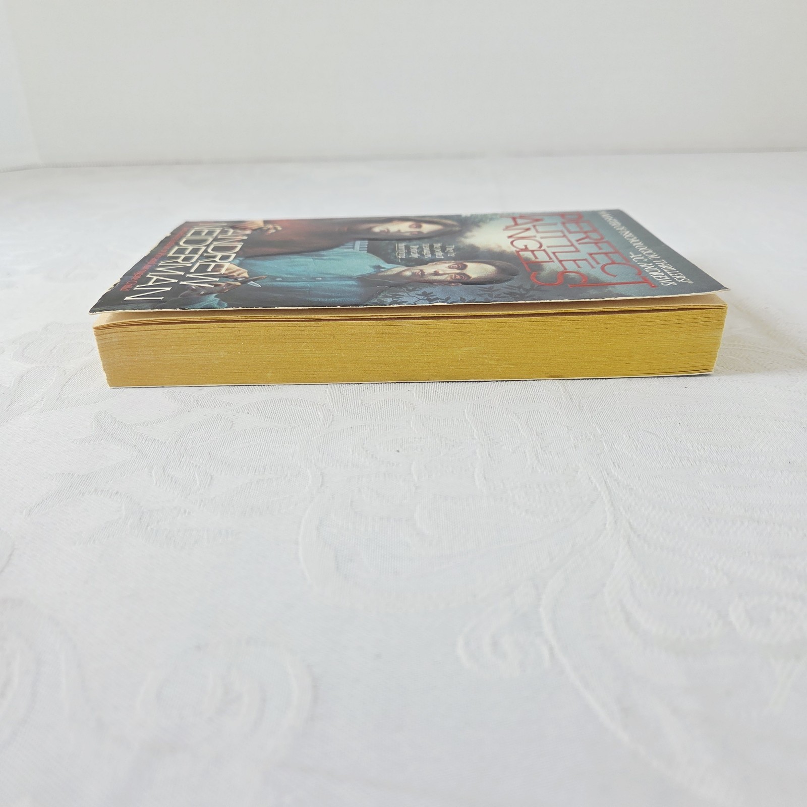 ANDREW NEIDERMAN 1ST EDITION – Perfect Little Angel 1989 (Paperbacks From Hell)
