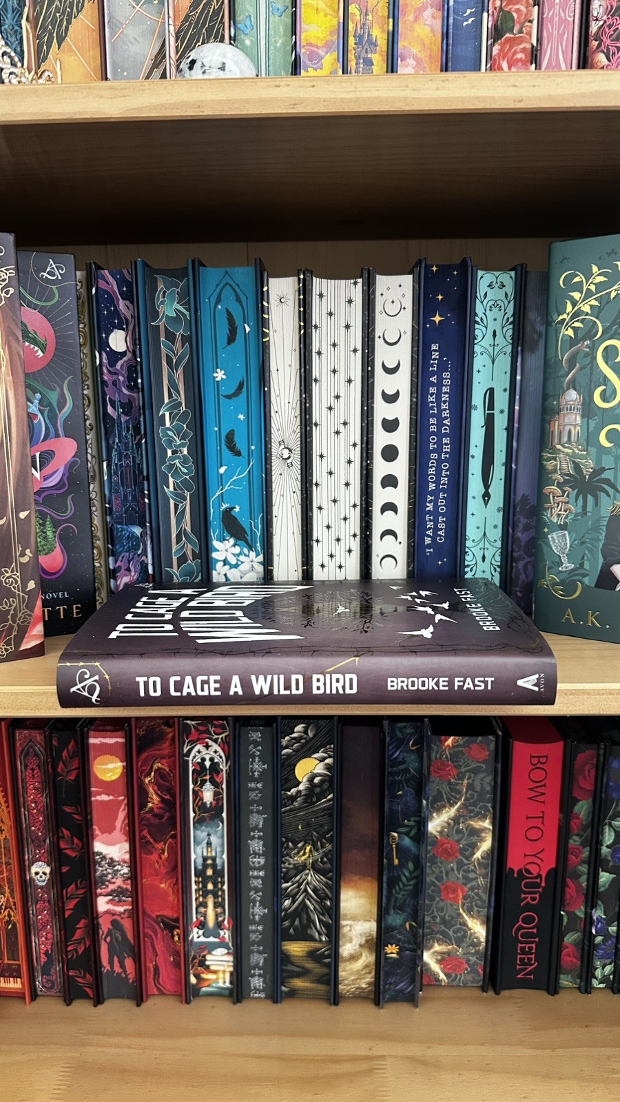 Allurial To Cage a Wild Bird Brooke Fast Special Edition Sprayed Edges Hardcover