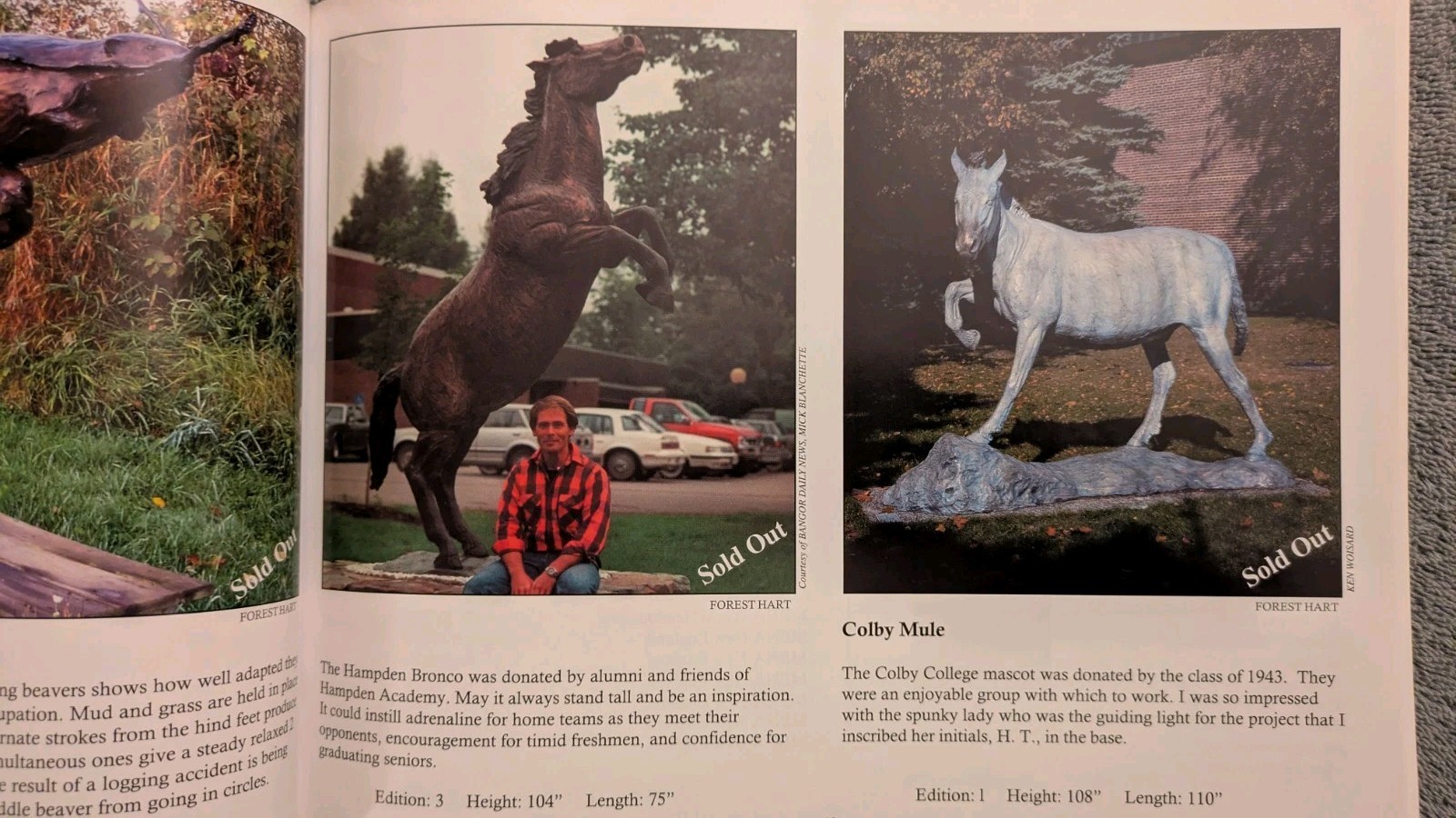 Forest Hart, WILDLIFE IN BRONZE, 204, PB, Art, Sculpture, Animals, 111 Pages
