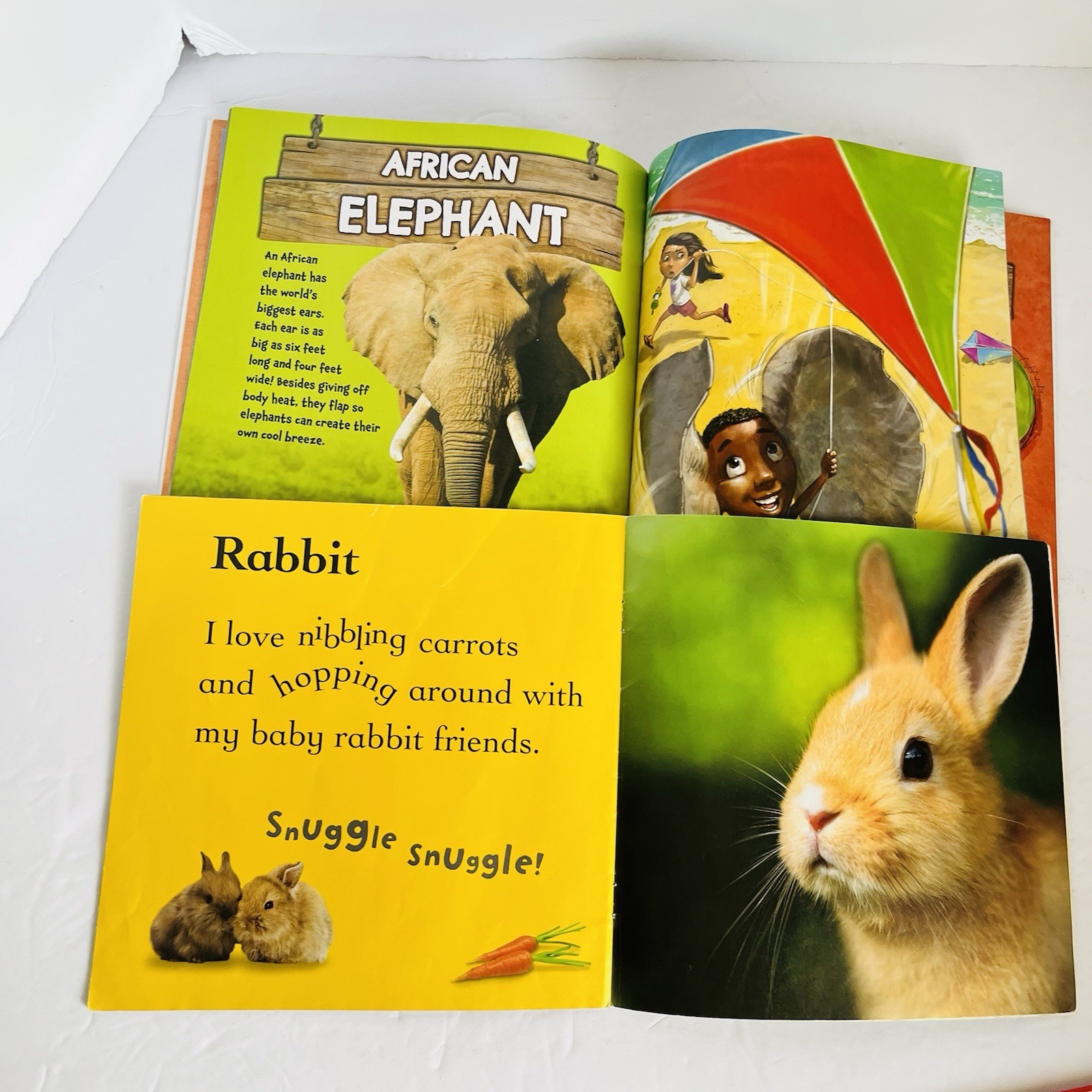 Animal Science Nature Book Lot 8 Classroom Homeschool Hibernation Baby STEM