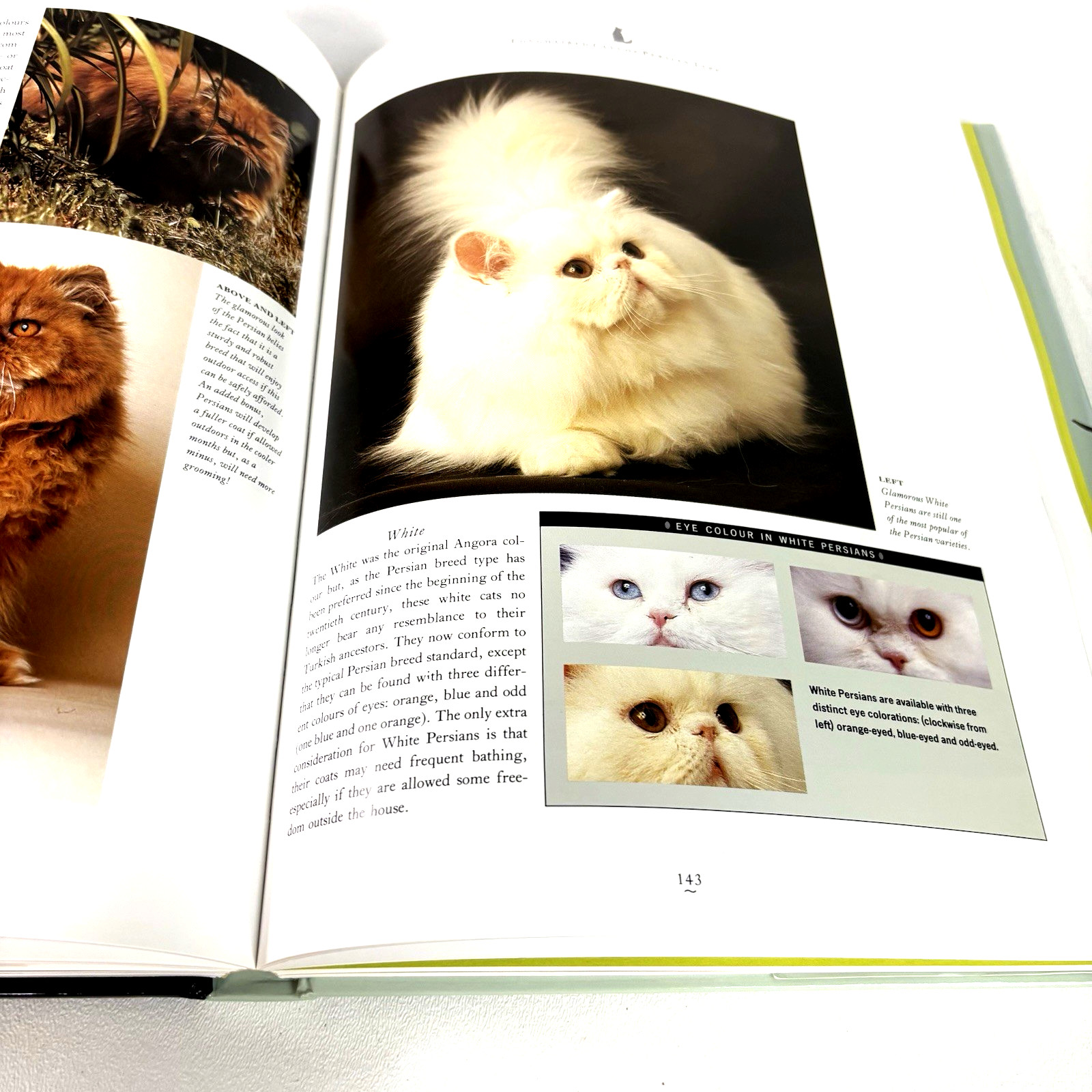 The Complete Cat Book by Paddy Cutts Hardcover First Edition 1994 With Cover
