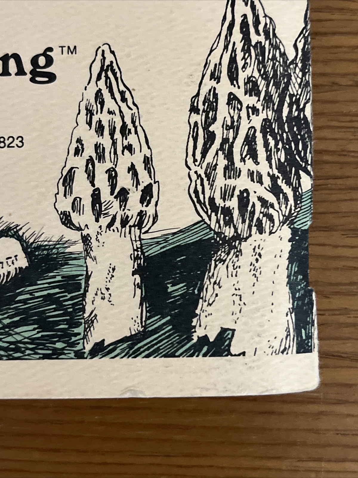 Wild Mushroom Recipes by Carole Eberly (1996) East Lansing, Michigan ~ Paperback