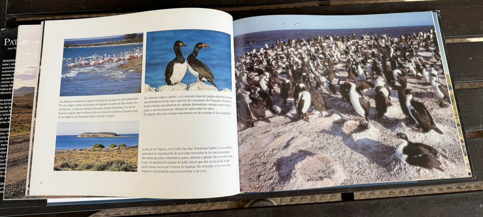 Spanish Version Patagonia Book Axel Bos, Rivademar Hardcover VGUC 2001
