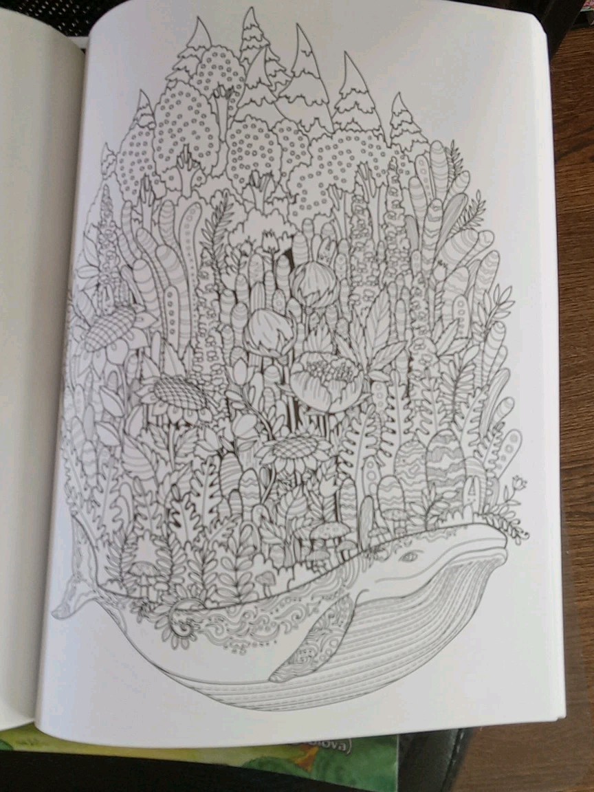 Lot Of 3 Whimsical Adult Coloring Books