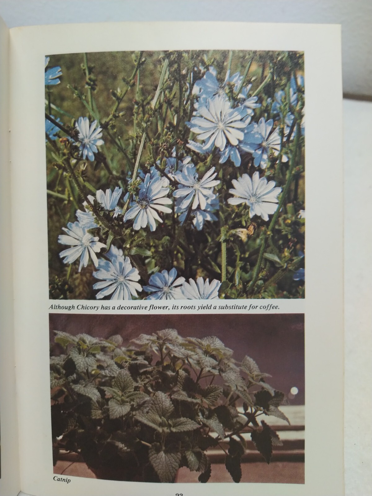 Herb Gardening Countryside Books 1976 Booklet