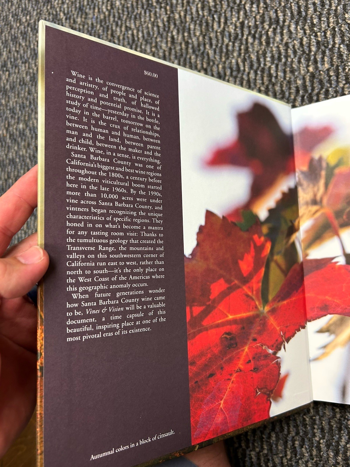 Vines & Vision : The Winemakers of Santa Barbara County by Matthew Kettmann