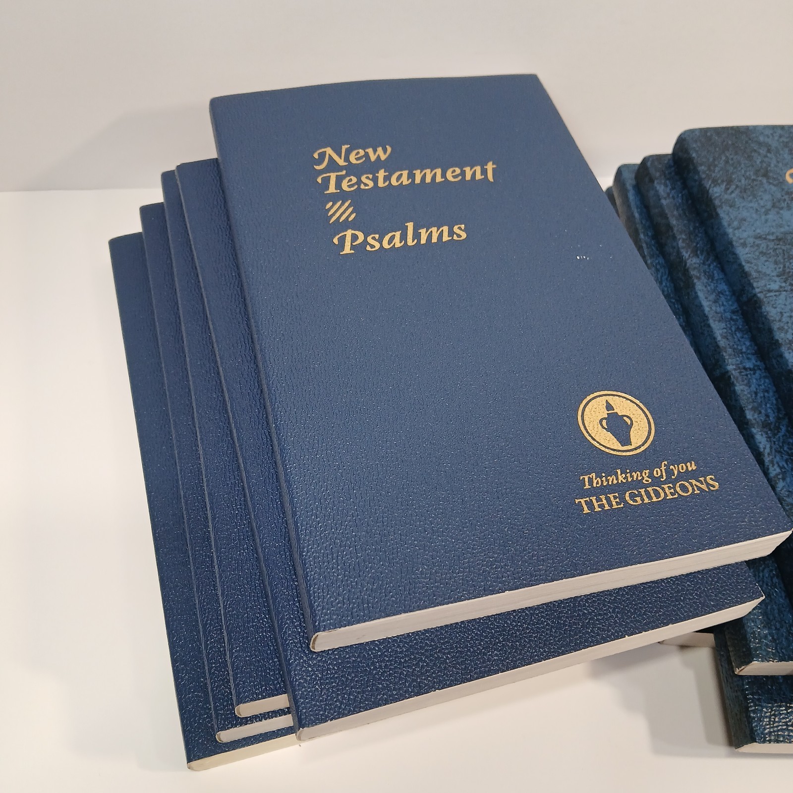 Lot of 13 New Testament Psalms KJV ESV Spanish Large Print Softcover 8.25 x 5.25
