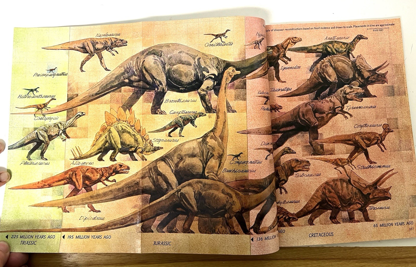 Vintage Dinosaur Kids Book Bundle ~ Dinosaurs National Geographic Illustrated