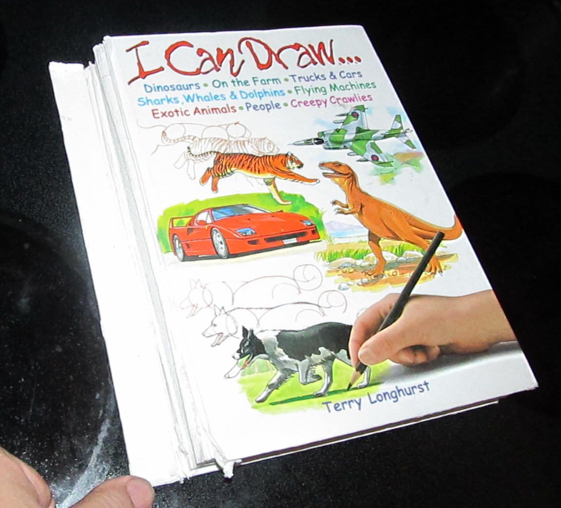 Terry Longhurst “I Can Draw..” Youth Young Adult Book Art Artwork Animals People