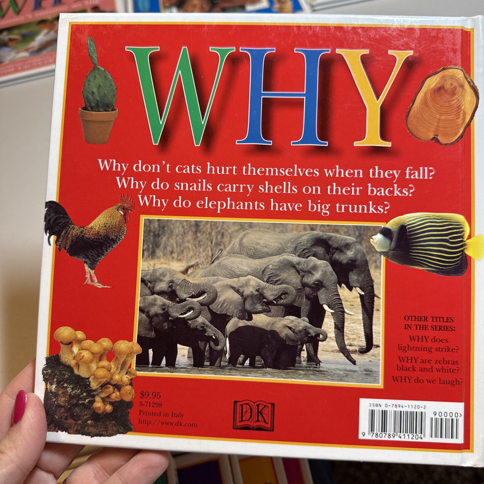 Vtg Lot Of 12 – Why? Questions Children Ask Children Books Series DK Publishing
