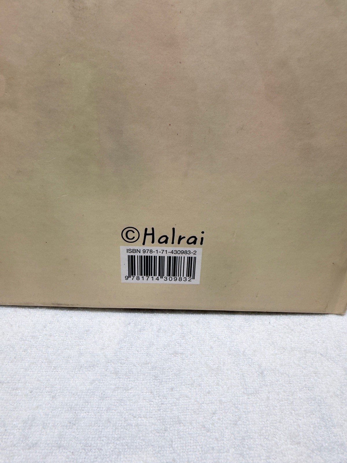Visiting a Friend Halrai Hardcover 2021 Blurb Book Illustrated Story Used