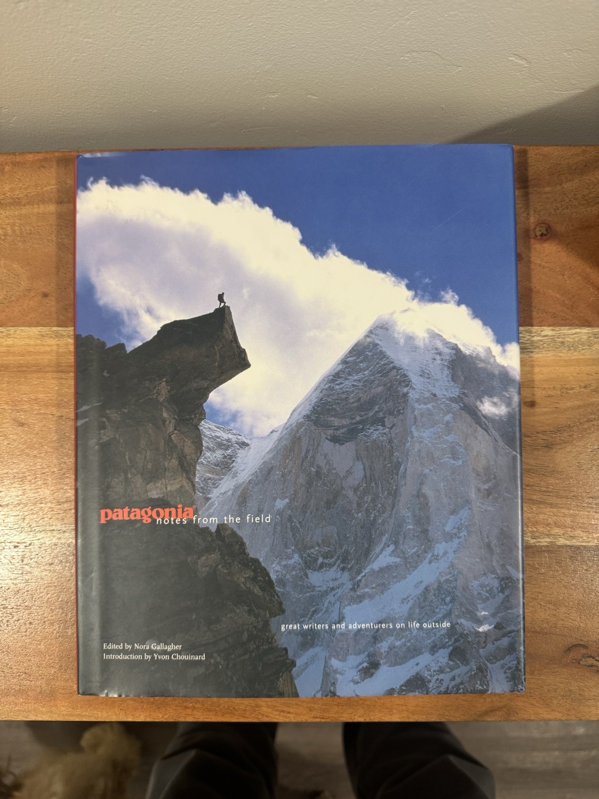 Patagonia: Notes From the Field by Yvon Chouinard (1999, Hardcover)