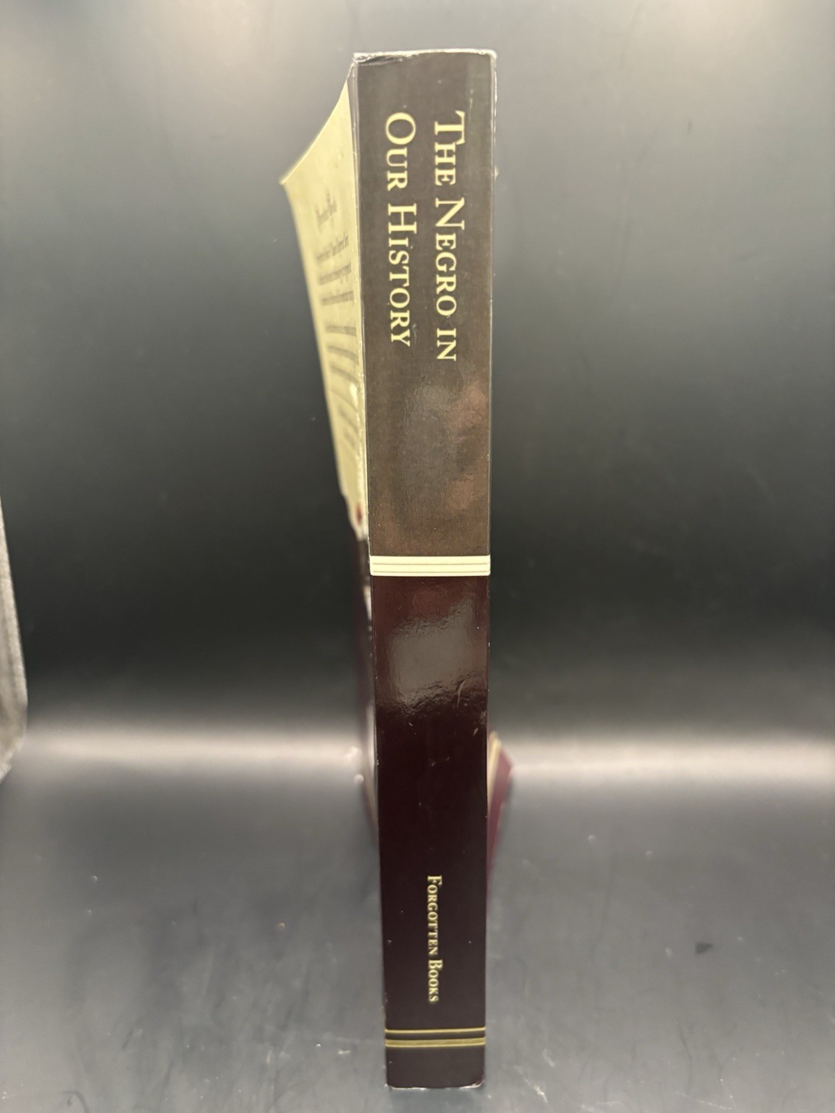 The Negro in Our History (Classic Reprint) by Carter G Woodson: New