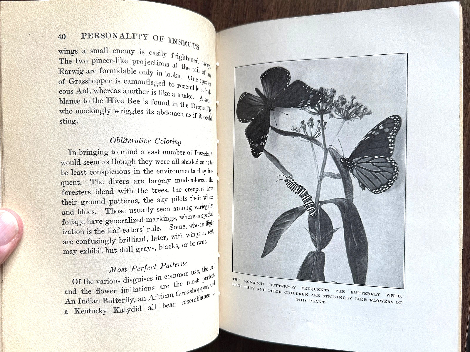 1924 1st Ed PERSONALITY of INSECTS by R. Dixon & B. Eddy HB/247pp/ILLUSTRATED