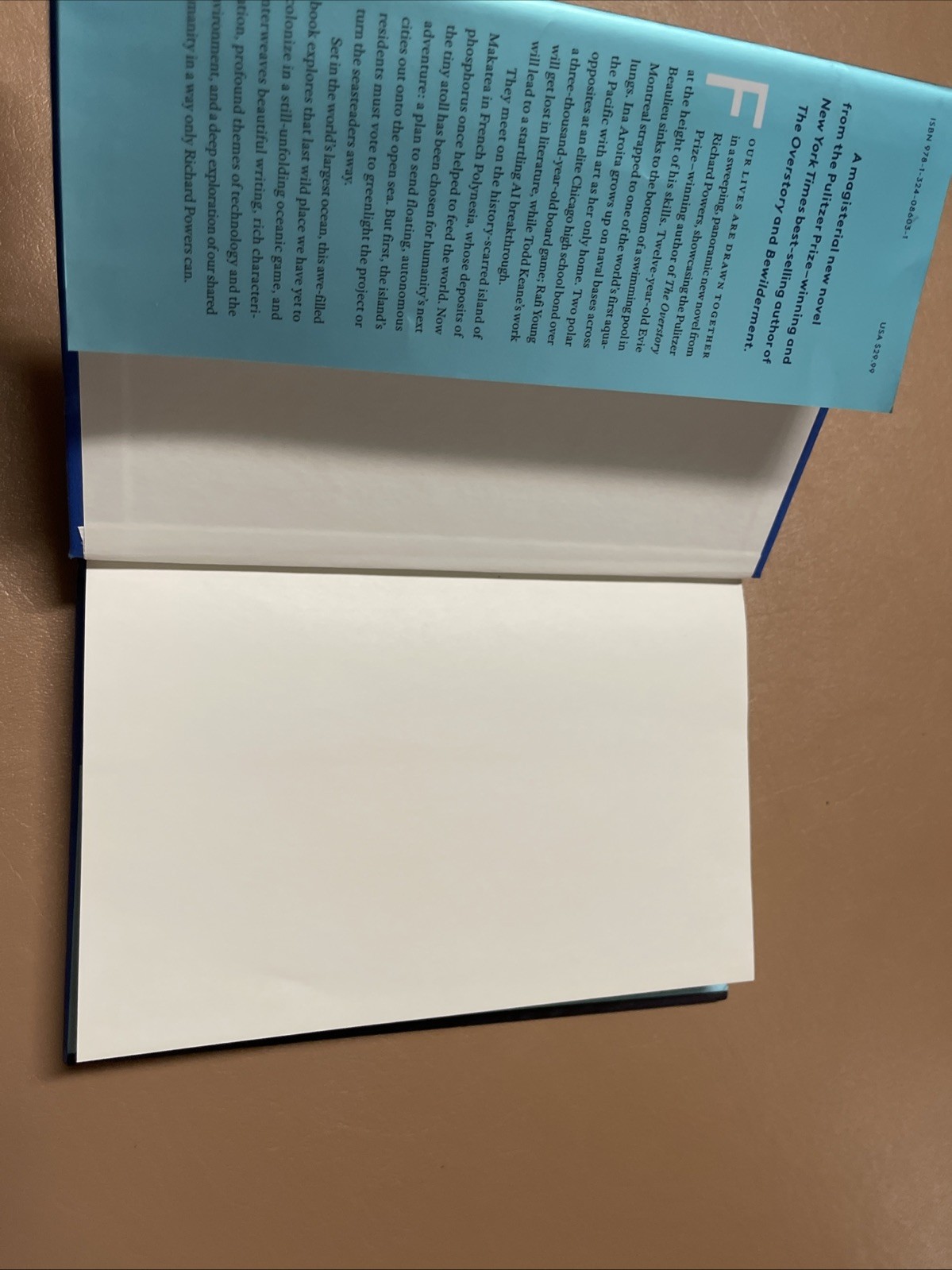 Playground Hardcover Richard Powers