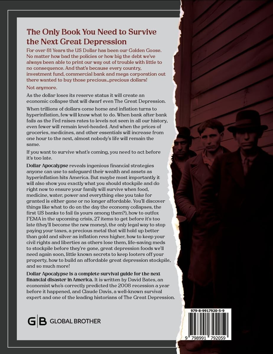Dollar Apocalypse: Survival Guide for the Next Great Depression