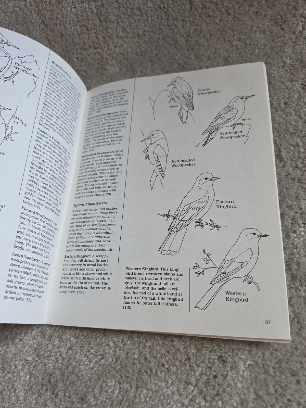 Vintage Lot Of 4 Coloring Books. Dover Publications. Houghton Mifflin Company