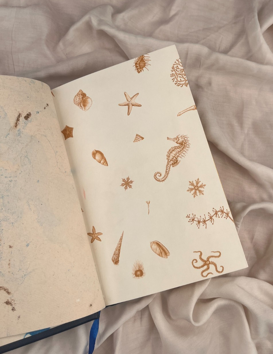 Piranesi by Susanna Clarke [PREMIUM LEATHER BOUND]