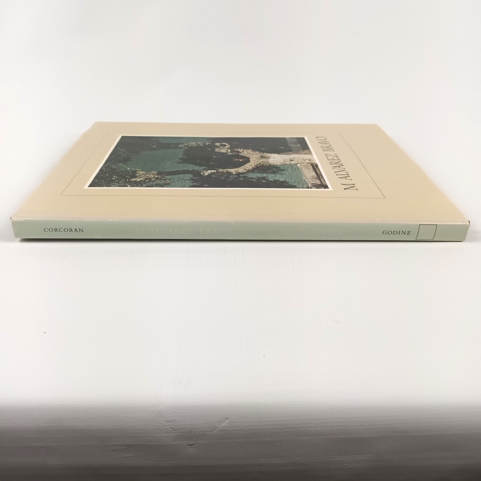 M Alvarez Bravo by Jane Livingston 1980 Hardcover Very Good Condition
