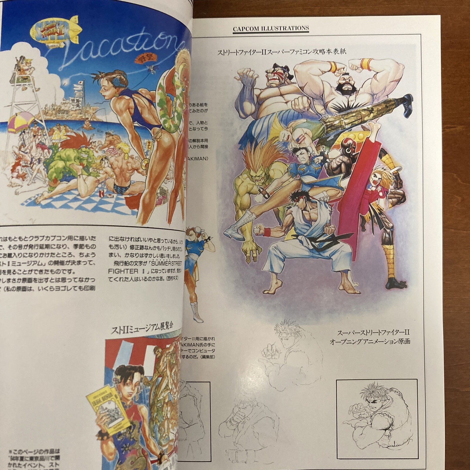Capcom Illustrations Art Book