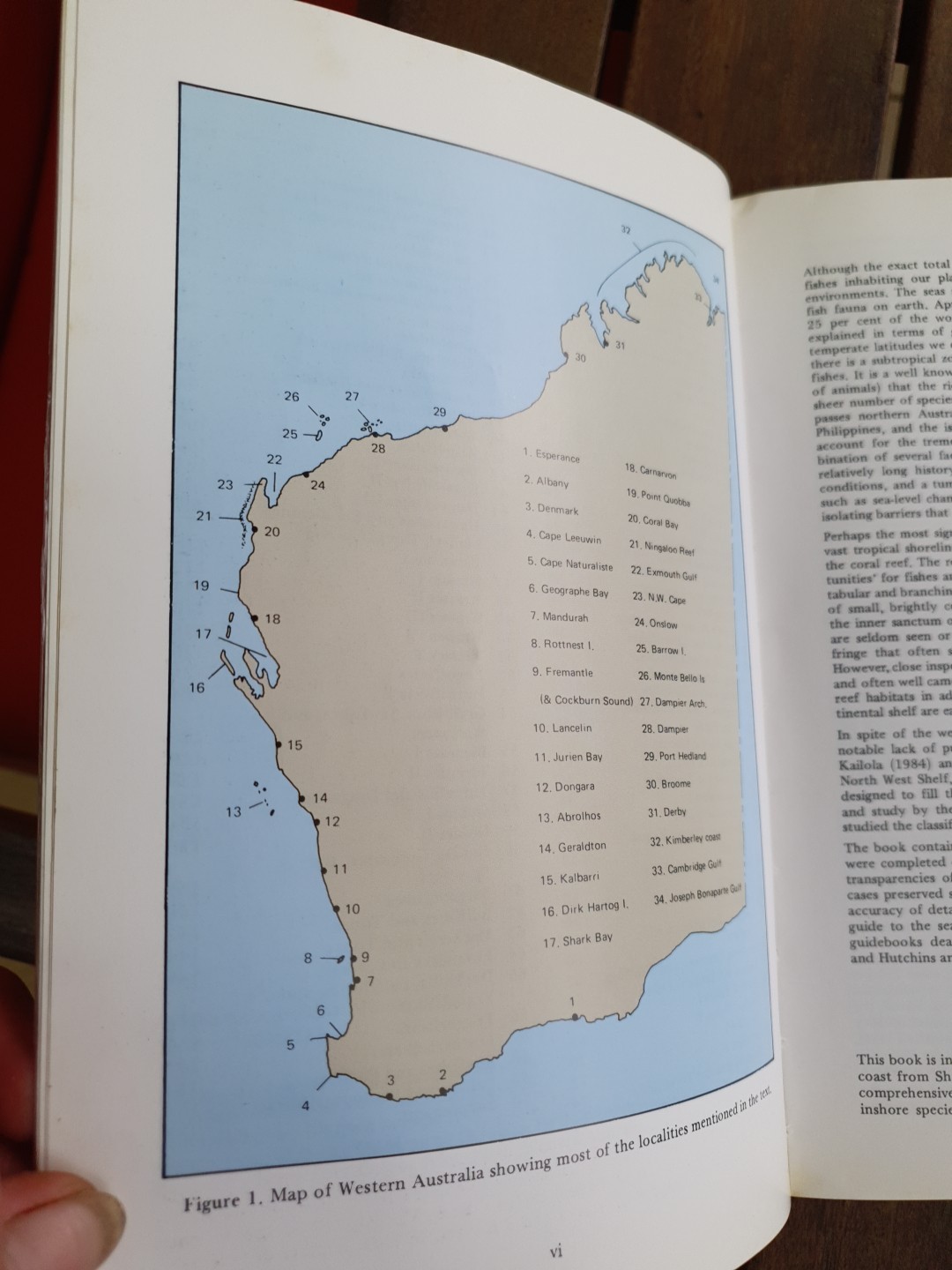 Marine Fishes of North-Western Australia Gerald R Allen 1988 Superior Plates
