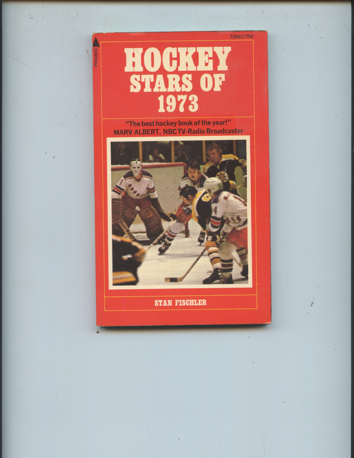 “HOCKEY STARS OF 1973” BOOK BY FISCHLER (125 PAGES, HULL, ORR, MIKITA, ETC.)