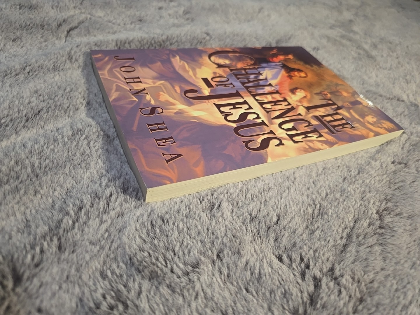 Challenge of Jesus by John Shea (1996, Trade Paperback)