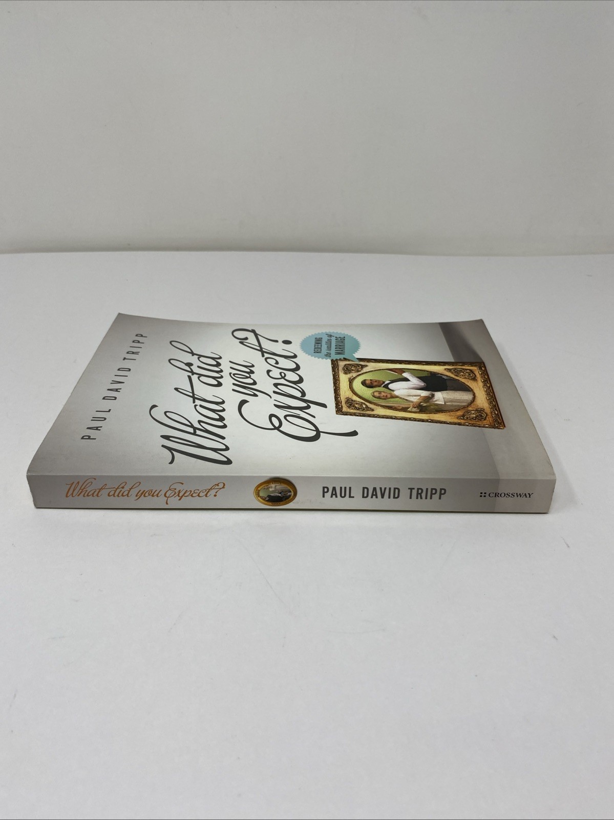 What Did You Expect Paul David Tripp Paperback 2012 Clean Pages